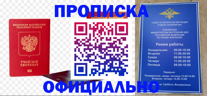 прописка иностранных граждан в Опочке